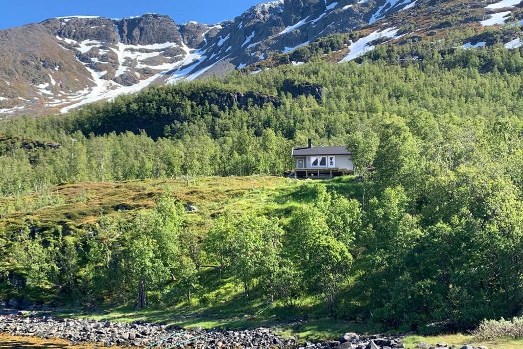 Cabin In Jokelfjord Villa Luaran gambar